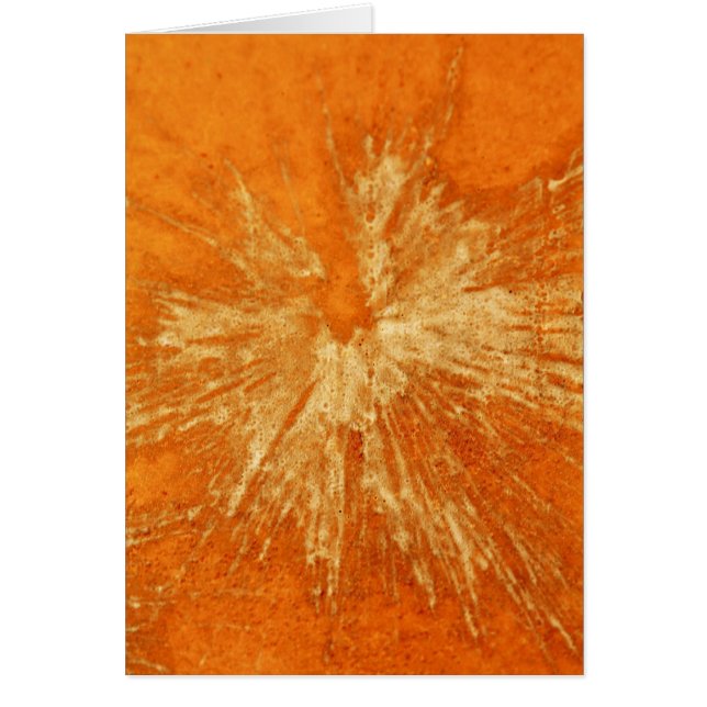 Gelb auf Orange Paintball (Vorne)