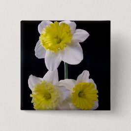 Gelb auf weißem Daffodil Button