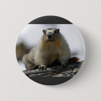 Gelb aufgeblähtes Murmeltier Button
