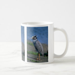 Gelb-gekrönter Nachtreiher Tasse