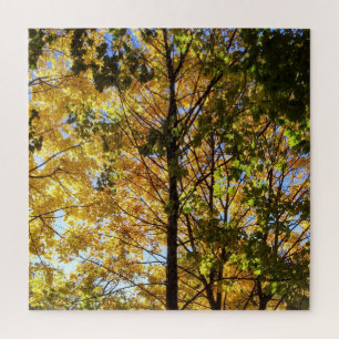 Gelb-grüne Herbstfoliage Puzzle