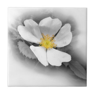 gelb in Grautönen Fliese