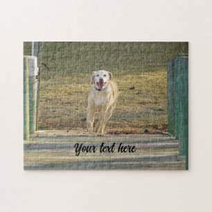 Gelb Labrador Retriever läuft Puzzle