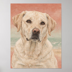 Gelb Labrador Retriever Portrait in Koralle und Sa Poster