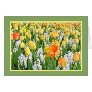 GELB, MANDARINE TULIPS MIT WEISSEN HYACINTHIEN