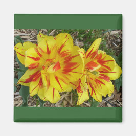Gelb mit rot gestreifter Blume Magnet