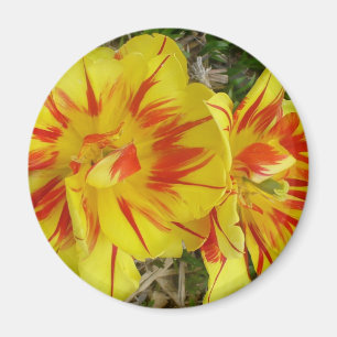 Gelb mit rot gestreifter Blume Magnet