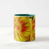 Gelb mit rot gestreifter Blume