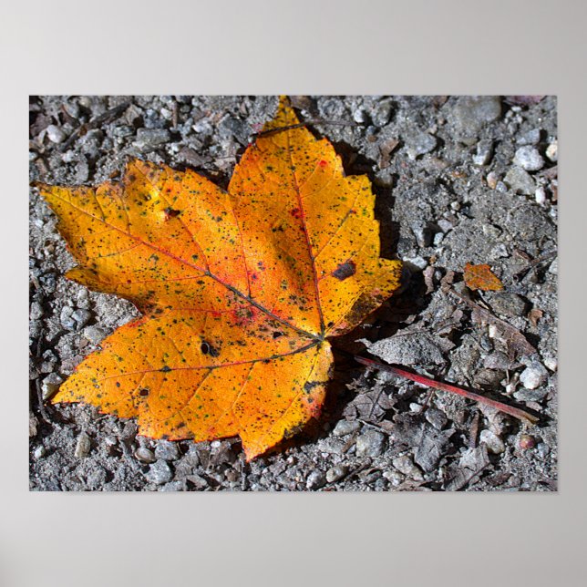 Gelb-orange Blatt-Fotoplakat Poster (Vorne)