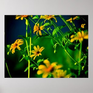 Gelb… Poster
