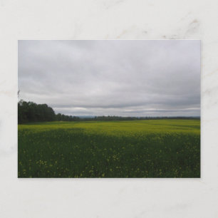 gelb postkarte