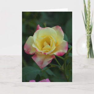 Gelb + Rosa Rose _ Kunstkarte Karte