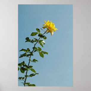 Gelb-Rosen-Plakat Poster