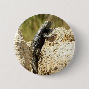 Gelb Rücken Stacheligechse in Joshua Tree Button