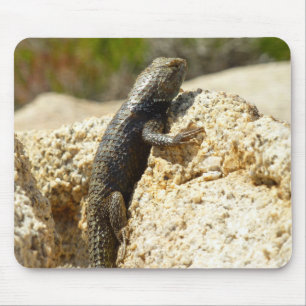 Gelb Rücken Stachelleguan in Joshua Tree Mousepad