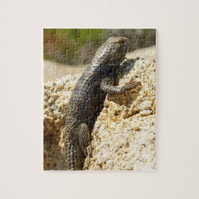 Gelb Rücken Stachelleguan in Joshua Tree Puzzle (Vertikal)