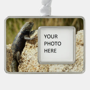 Gelb Rücken Stachelleguan in Joshua Tree Rahmen-Ornament Silber