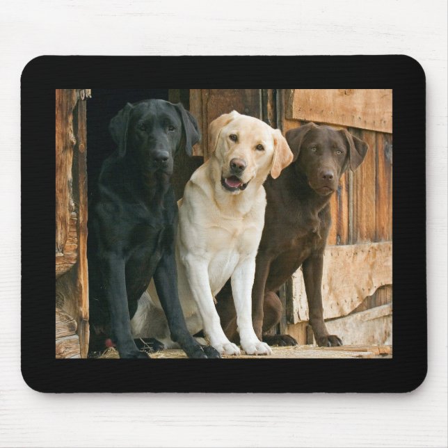 Gelb, Schwarz, Braun Labrador Retriever Mousepad (Vorne)