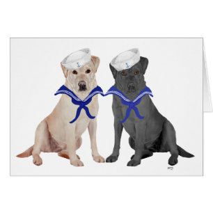 Gelb & Schwarze Labrador Retriever