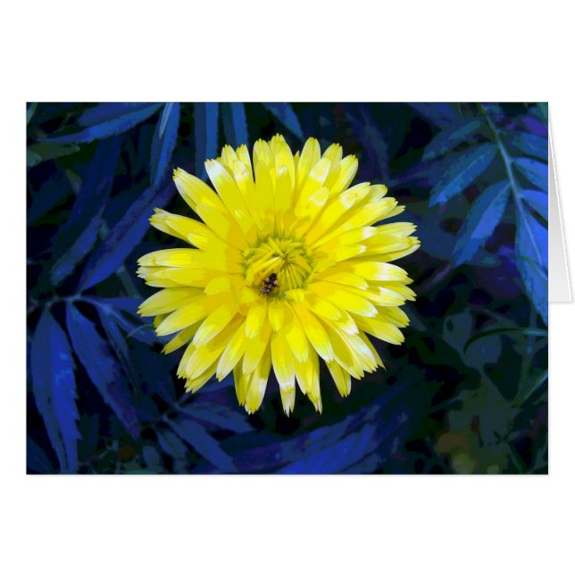 Gelb und Blau (Vorderseite (Horizontal))