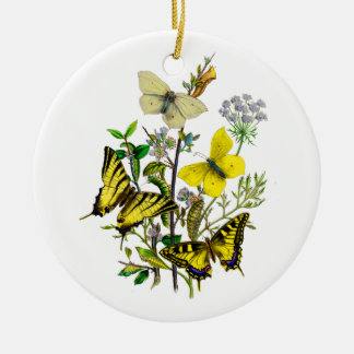 Gelb-und Frack-Schmetterlinge Keramik Ornament