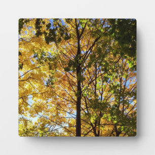 Gelb und grünes Herbstlaub Fotoplatte