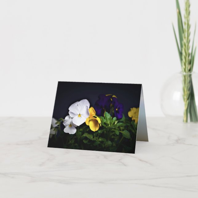 Gelb und Lila Stiefmütterchen Karte (Vorderseite)