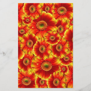 Gelb und Orange Gerbera Daisies Briefpapier