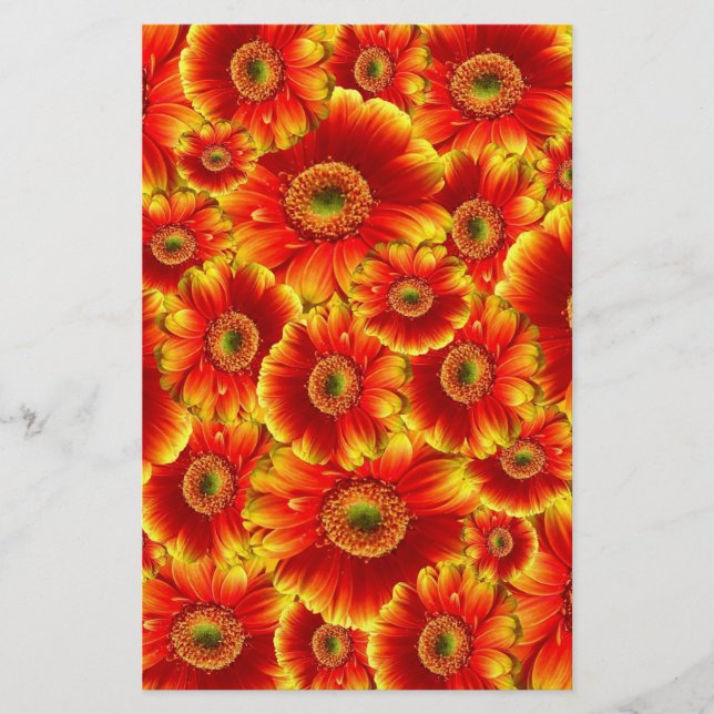 Gelb und Orange Gerbera Daisies Briefpapier (Vorderseite)