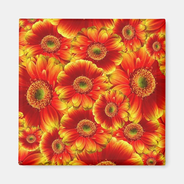 Gelb und Orange Gerbera Daisies Magnet (Vorne)