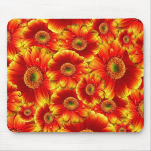 Gelb und Orange Gerbera Daisies Mousepad