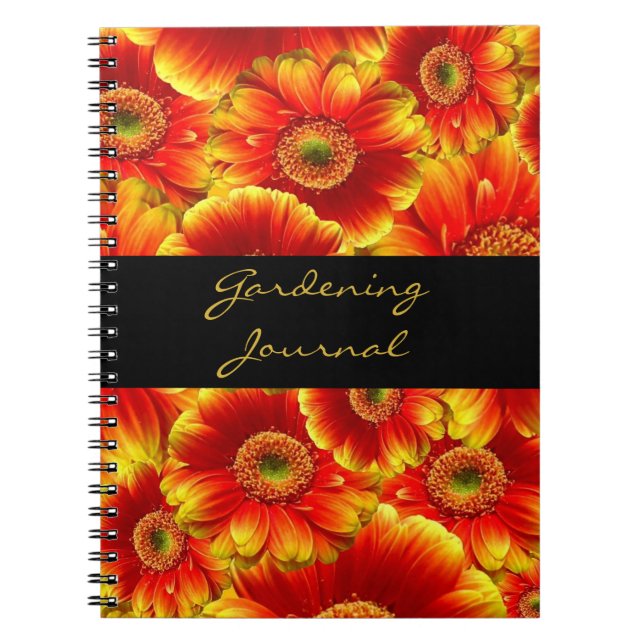 Gelb und Orange Gerbera Daisies Notizblock (Vorderseite)