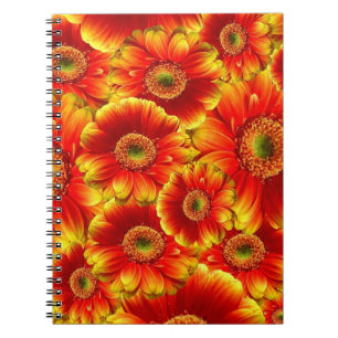 Gelb und Orange Gerbera Daisies Notizblock