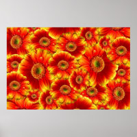 Gelb und Orange Gerbera Daisies