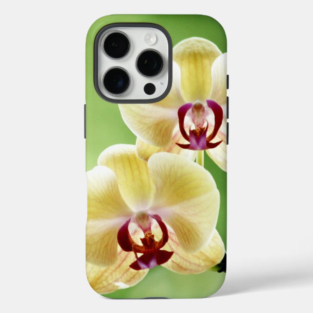 Gelb und rosa Orchidee Case-Mate iPhone Hülle (Rückseite)