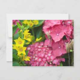 Gelb und Rosa Postkarte