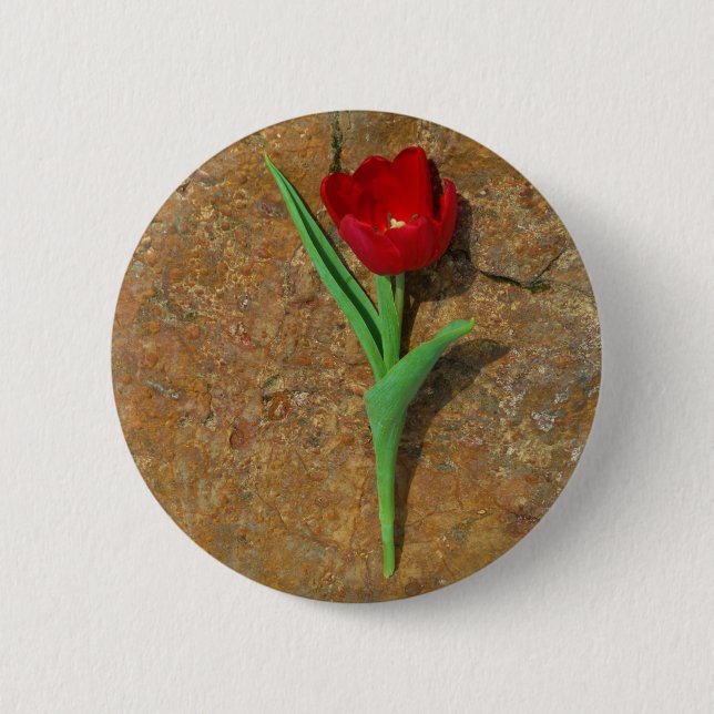 Gelb und Rot Button (Vorderseite)