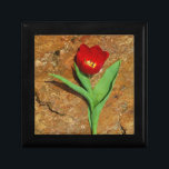 Gelb und Rot Erinnerungskiste<br><div class="desc">Frühlingsroter Tulip gegen einen braunen Felsen am Arrowhad-See. Foto von Sandy Closs. Ostern, Blumen, rote Blume, Frühling, Valentine, Valentine, Hochzeiten, Hochzeiten, Valentinstag</div>