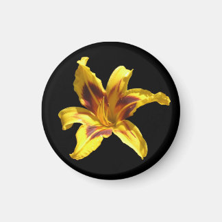 Gelb und Rot-Lily-Magnet Magnet