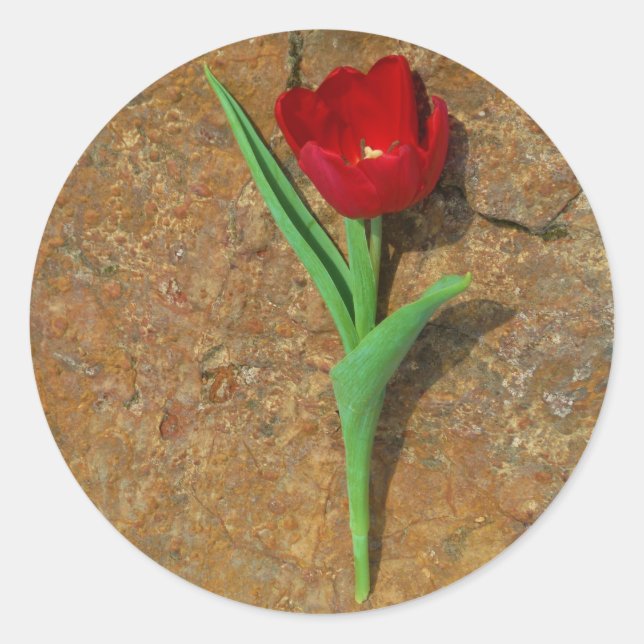 Gelb und Rot Runder Aufkleber (Vorderseite)