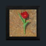 Gelb und Rot Schmuckschachtel<br><div class="desc">Frühlingsgelb und Rot Tulip, brauner Felsen am Arrowhad-See. Foto von Sandy Closs. Ostern, Blumen, rote Blume, Frühling, Valentine, Valentine, Hochzeiten, Hochzeiten, Valentinstag</div>