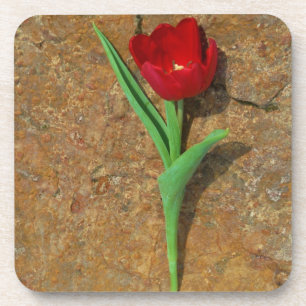 Gelb und Rot Untersetzer