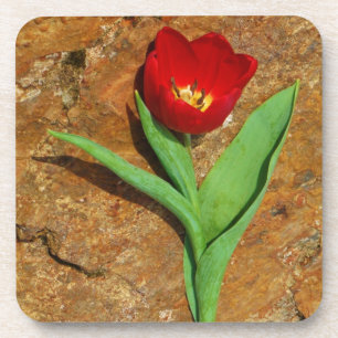 Gelb und Rot Untersetzer