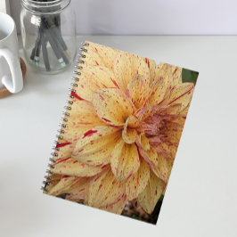 Gelb und Rot variierte Dahlia Floral Notizblock