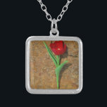 Gelb und Rot Versilberte Kette<br><div class="desc">Frühlingsgelb und Rot Tulip, brauner Felsen am Arrowhad-See. Foto von Sandy Closs. Ostern, Blumen, rote Blume, Frühling, Valentine, Valentine, Hochzeiten, Hochzeiten, Valentinstag</div>