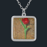 Gelb und Rot Versilberte Kette<br><div class="desc">Frühlingsgelb und Rot Tulip,  brauner Felsen am Arrowhad-See. Foto von Sandy Closs. Ostern,  Blumen,  rote Blume,  Frühling,  Valentine,  Valentine,  Hochzeiten,  Hochzeiten,  Valentinstag</div>