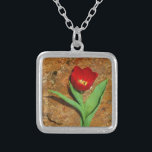 Gelb und Rot Versilberte Kette<br><div class="desc">Frühlingsroter Tulip gegen einen braunen Felsen am Arrowhad-See. Foto von Sandy Closs. Ostern,  Blumen,  rote Blume,  Frühling,  Valentine,  Valentine,  Hochzeiten,  Hochzeiten,  Valentinstag</div>
