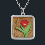 Gelb und Rot Versilberte Kette<br><div class="desc">Frühlingsroter Tulip gegen einen braunen Felsen am Arrowhad-See. Foto von Sandy Closs. Ostern, Blumen, rote Blume, Frühling, Valentine, Valentine, Hochzeiten, Hochzeiten, Valentinstag</div>