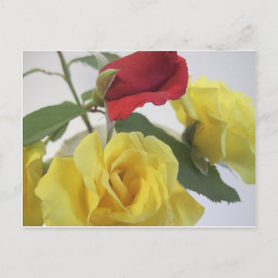 Gelb und Rote Rosen Postkarte
