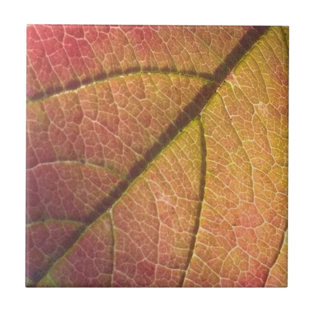 Gelb- und Rothalbstleaf Fliese (Vorderseite)